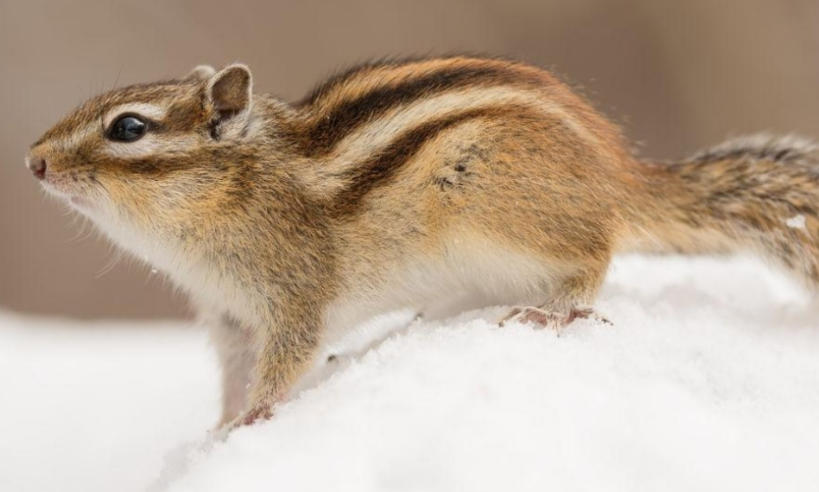 北京創意翻有限公司輪播圖3