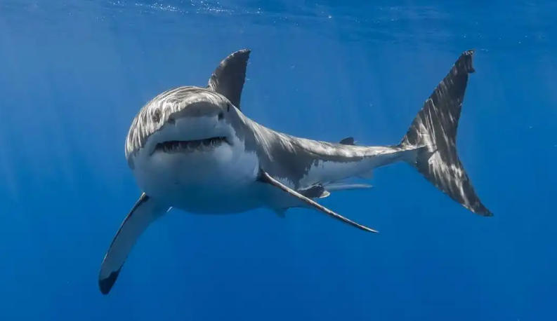 北京創(chuàng)意翻有限公司輪播圖2